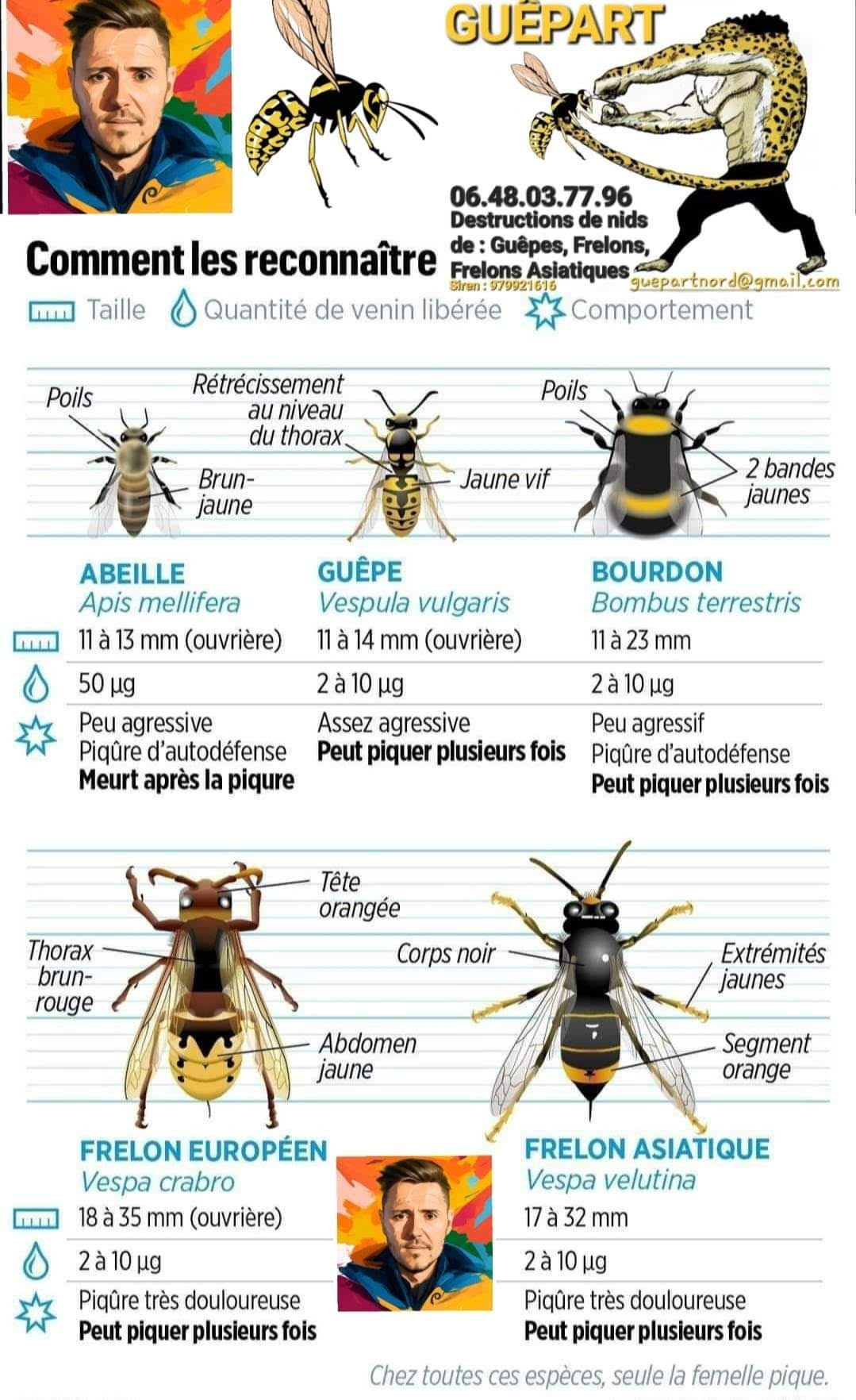 reconnaitre les différentes espèces